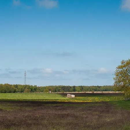 Boddensegler - #118776